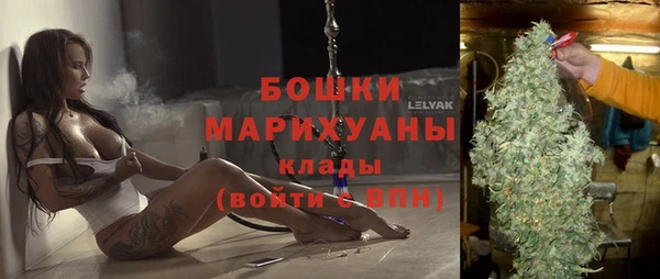 дмт Краснослободск
