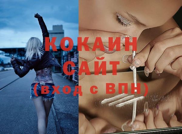 дмт Краснослободск