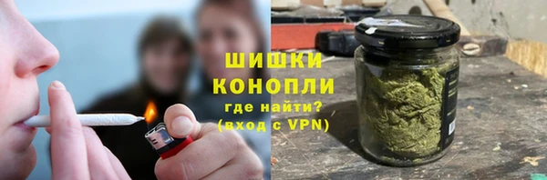 дмт Краснослободск