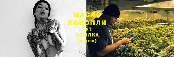 дмт Краснослободск