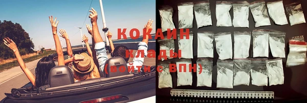 дмт Краснослободск